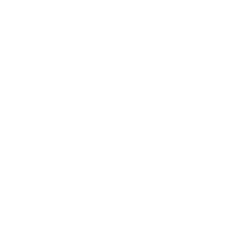mic